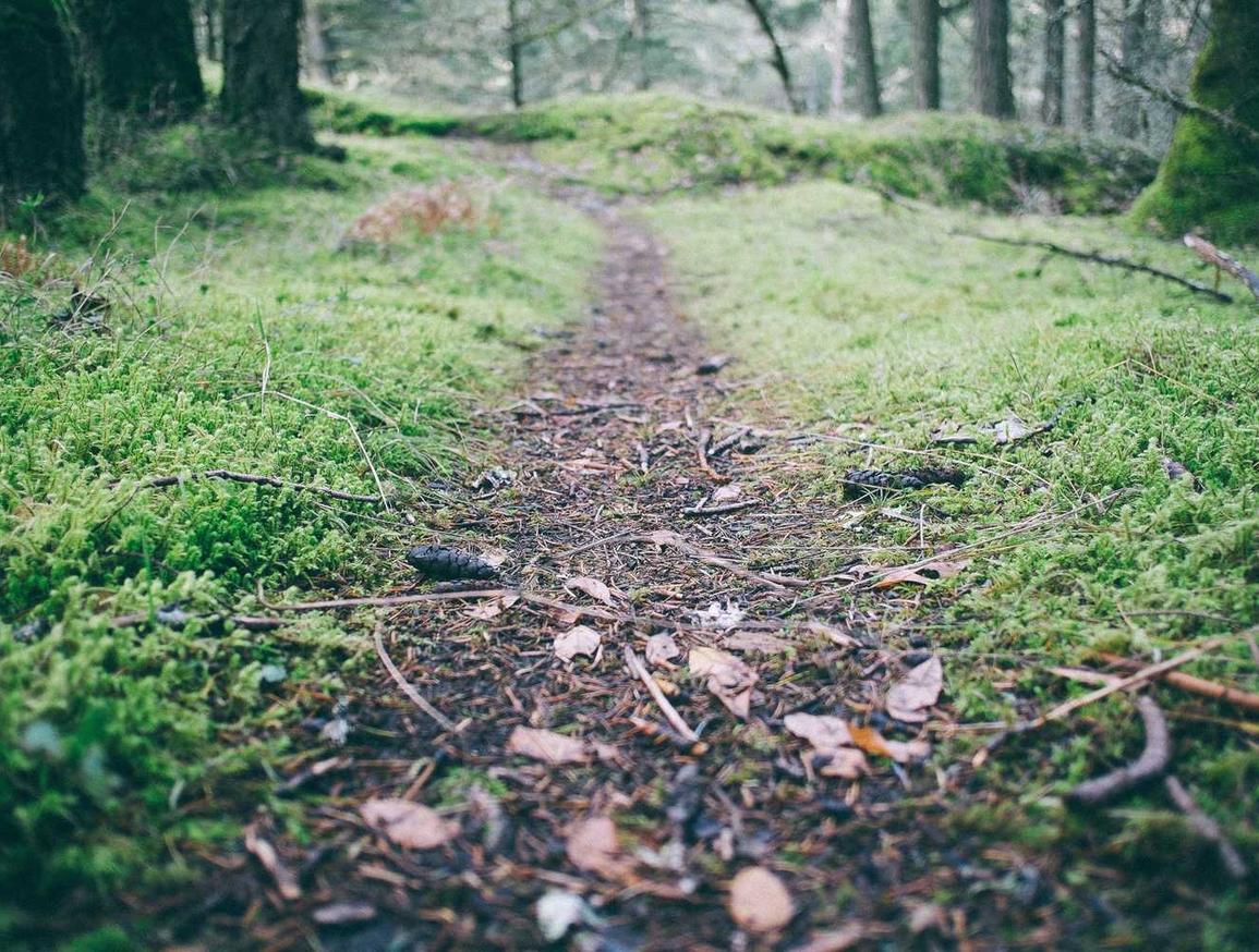 如何通过图像优化来获得更好的SEO结果？