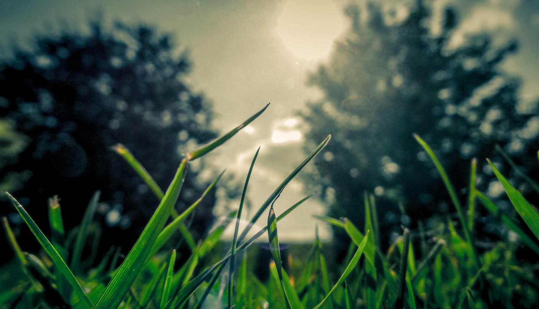 可乐娱乐，注册|红蓝app详情下载教程