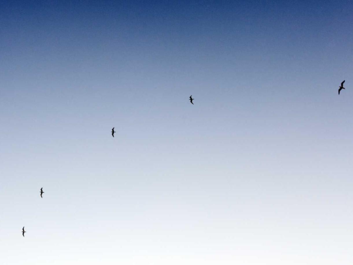 在线DDOS压力测试网页端|期权开户交易平台  选择