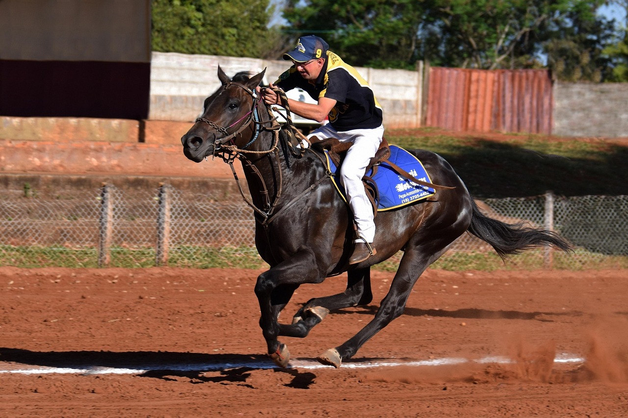 DDOS在线攻击|双流县代理记账注册流程