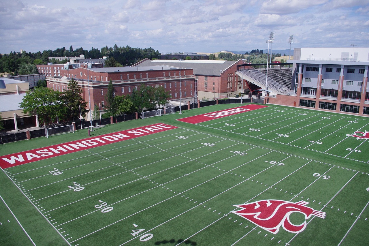 Love Live！学园偶像祭：群雄闪耀辅助- 香蕉app详情下载教程地址