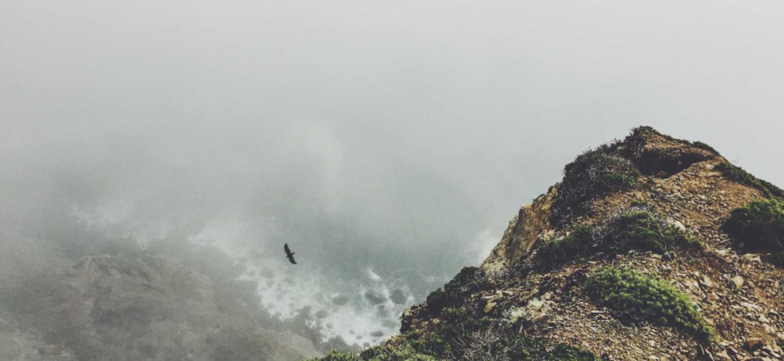 DDOS攻击测试|菏泽公司注册代理