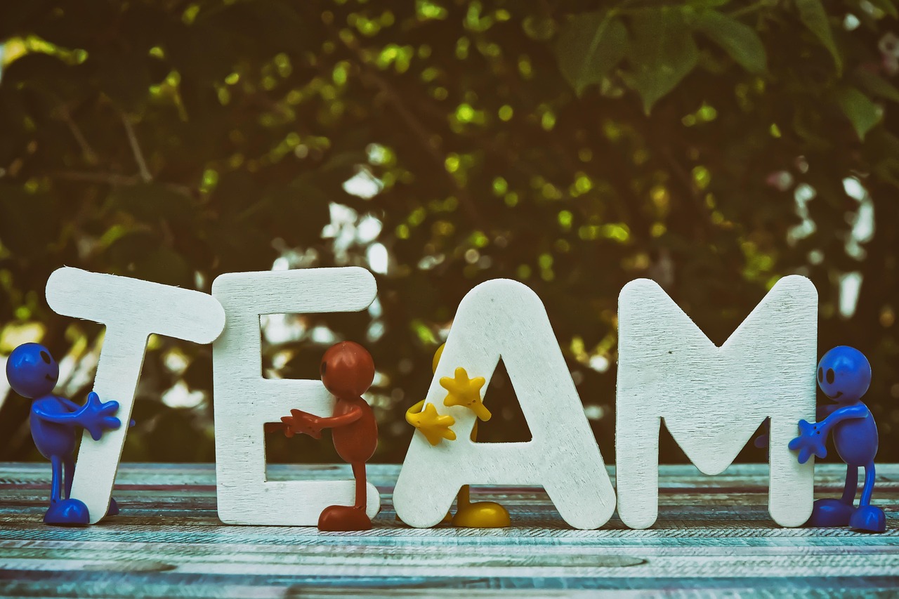 西部数码实名账号：金龙项目规划平台开户